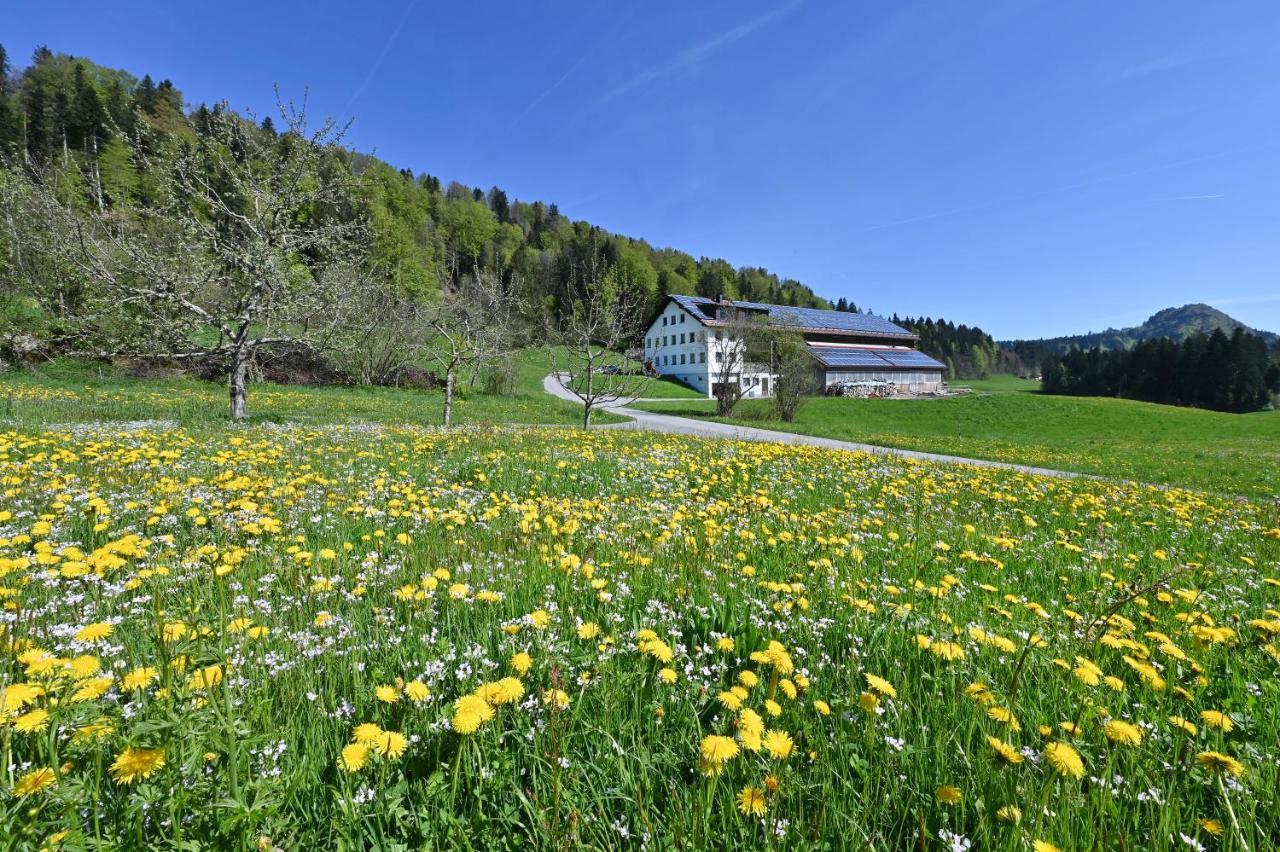 Appartamento Auszeithof Voegel Sulzberg  Esterno foto